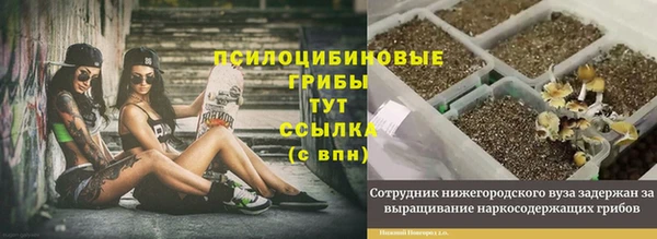 марихуана Ачинск
