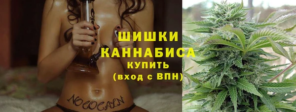 Альфа ПВП Краснослободск